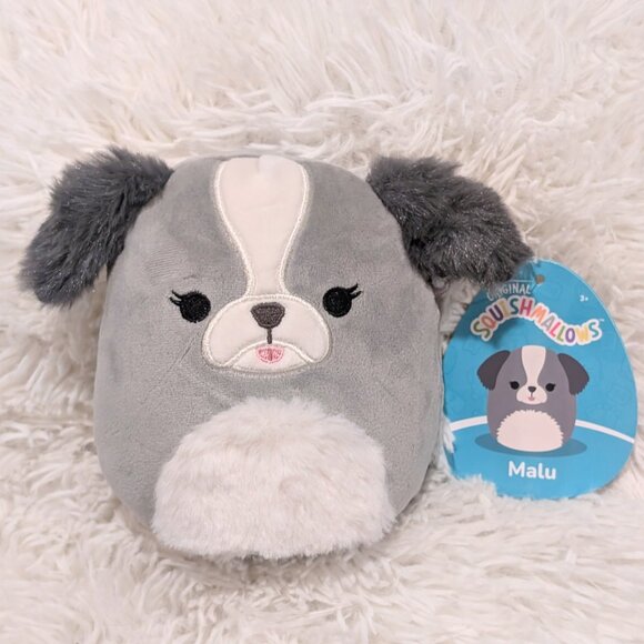 Squishmallows 6" Malu the Shih Tzu NWT - Picture 1 of 4